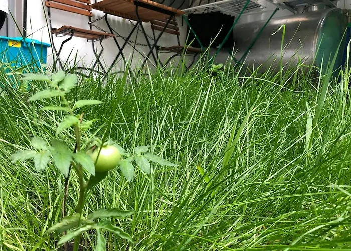 Earth, Comfy Near Center W Garden 1gbwifi Apartmán